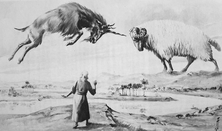 carneiro e bode carneiro e bode